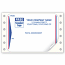 Postal Endorsement Mailing Labels, Continuous, White 1244