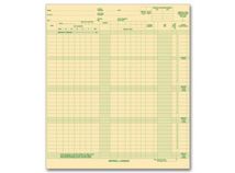 Expense/Payroll Ledger