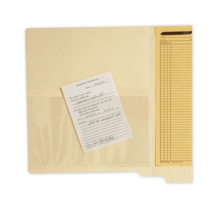 Transparent Top Load File Pockets