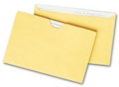 Straight Tab Card File Pocket, 4 1/8 x 6 1/8, Buff