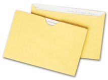 Straight Tab Card File Pocket, 4 1/8 x 6 1/8, Buff