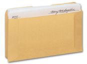 Expansion Card File Pocket, Buff