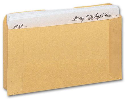 Expansion Card File Pocket, Buff