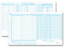 Combo Payroll and Disb Computer Input Journal