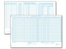 Computer Input Sales & Cash Receipts Journal