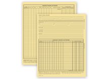 Vet Animal Exam Records, With Account Record, Card File Fold