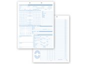 Dental Exam Records, Anatomic Diagram, Primary - Permanent