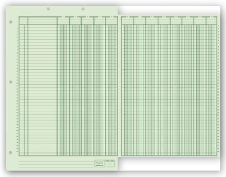 Columnar Work Sheets, Ring Book, Bottom Headed