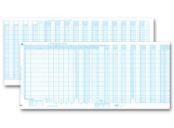 A/P Disbursement Journal