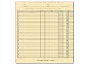 Accounts Payable Ledger