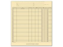 Accounts Payable Ledger