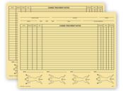 Veterinary Exam Records, Canine, Two - Sided, Buff