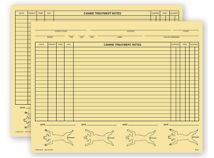 Veterinary Exam Records, Canine, Two - Sided, Buff