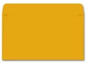 Card File Expansion Envelope, 40 lb Kraft