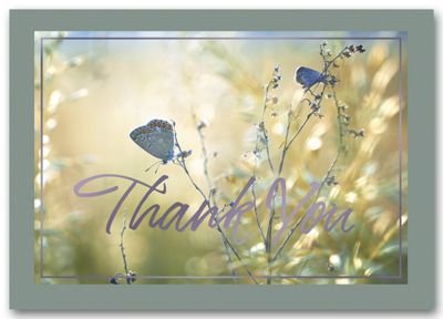 A Soft Touch Thank You Cards     3ED007