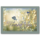 A Soft Touch Thank You Cards     3ED007