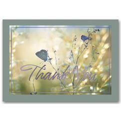 A Soft Touch Thank You Cards    