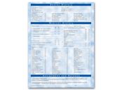 Two-Sided Registration & History Form, Bright Skies Design