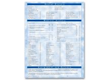 Two-Sided Registration & History Form, Bright Skies Design