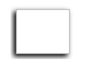 White Monarch 2-Line Pricing Label