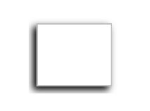 White Monarch 2-Line Pricing Label
