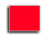 Neon Red Monarch 2-Line Pricing Label