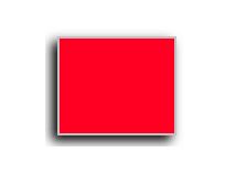 Neon Red Monarch 2-Line Pricing Label