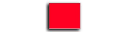 Neon Red Monarch 2-Line Pricing Label
