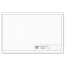 Graph Paper - Standard 1/4 Large Padded 704