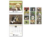 2027 Puppies & Kittens Wall Calendar