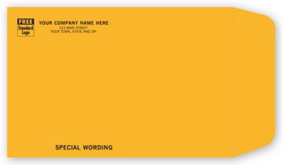 9 x 6 Kraft Mailing Envelope 794