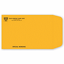 9 x 6 Kraft Mailing Envelope 794