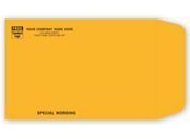 9 x 6 Kraft Mailing Envelope