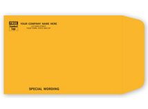9 x 6 Kraft Mailing Envelope