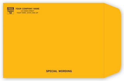 Brown Kraft Mailing Envelope 795