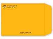 Brown Kraft Mailing Envelope 9 X 12, Gummed Seal