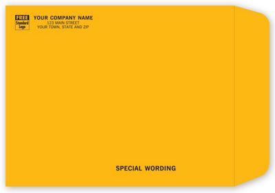 Brown Kraft Mailing Envelope 796