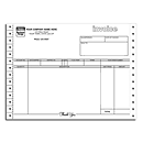 Continuous Invoice with Tear-Out Label 9040P