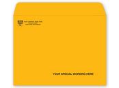Brown Kraft Mailing Envelope 9 X 12, Gummed Seal