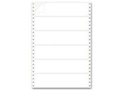 Pinfed Typing Strip Labels, 2