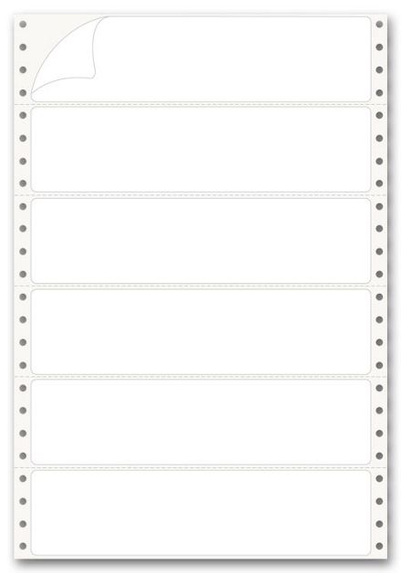 Pinfed Typing Strip Labels, 2