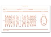 Dental Exam Record Slips, Numbered Teeth System C