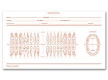 Dental Exam Record Slips, Numbered Teeth System C