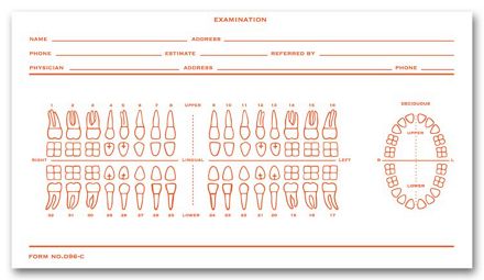Dental Exam Record Slips, Numbered Teeth System C
