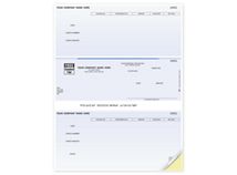 Laser Checks, Accounts Payable, Compatible with DacEasy