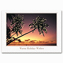 Palm Trees Holiday Card H55306