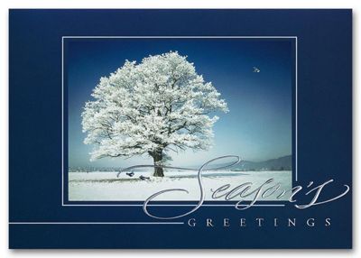 Discount Christmas Cards - Striking Solitude H56309