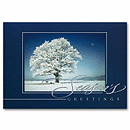 Discount Christmas Cards - Striking Solitude H56309