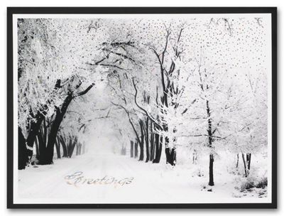 Business Holiday Cards - Serene H58955