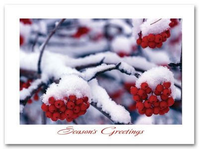 Frostberry Branches Holiday Card H59832
